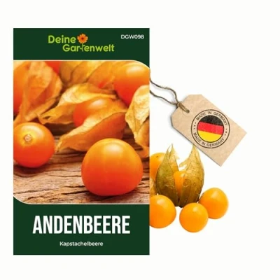 Abbildung von Physalis Andenbeere Kapstachelbeere Samen peruviana Andenbeerensamen Obstsamen Saatgut für 50 Pflanzen