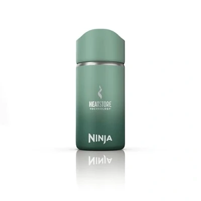 Abbildung von Ninja 300 ml Sip Perfect Trinkflasche für Heißgetränke, BPA frei, spülmaschinenfest, Thermosflasche, Grün, DW1203EUUKGN
