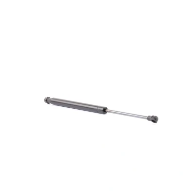 Abbildung von RIDEX 219G0843 Heckklappendämpfer 390 376 CHEVROLET: Spark