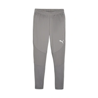 Abbildung von Puma Teamsport Teamfinal Jogginghose, Herren, Größe: XL, Grausilber