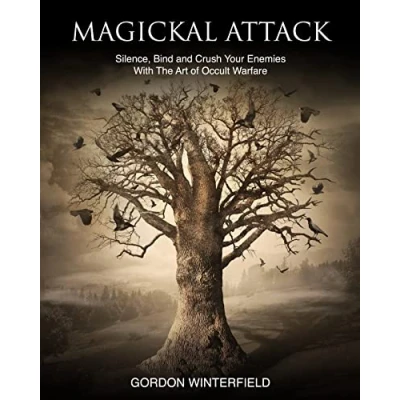 Abbildung von Magickal Attack: Silence, Bind and Crush Your Enemies With The Art of Occult Warfare (The Gallery Magick)