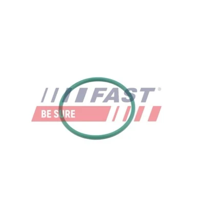 Abbildung von FAST FT49921 Dichtring, Ladeluftschlauch MINI: Clubman, PEUGEOT: 308 I SW, FORD: Focus C Max