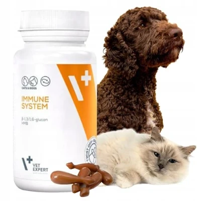 Abbildung von VET EXPERT immune System support preparation for dogs and cats 30 caps.