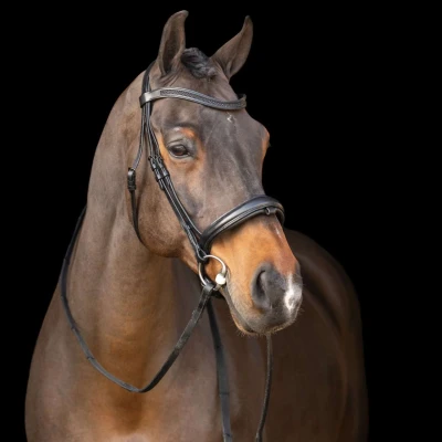 Abbildung von Imperial Riding Englisches ZaumzeugVerkauft von HypoStore