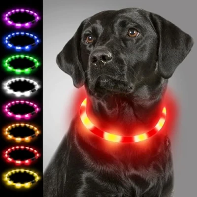 Abbildung von Joytale Leuchthalsband Hund USB Aufladbar Hundehalsband Leuchtend für Große Mittel Kleine Hunde und Welpe, Led Halsband mit 3 Modi Sicherheit, Rot