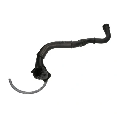 Abbildung von THERMOTEC DCR183TT Ladeluftschlauch RENAULT: SCENIC 2, Kangoo I, MEGANE 2 Coupe Cabriolet