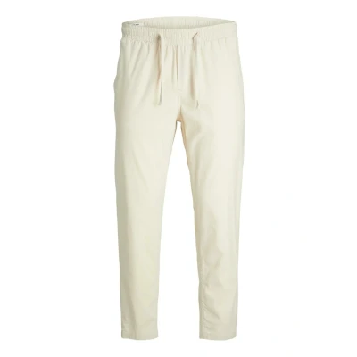 Abbildung von Jack &amp; Jones Jogginghose JPSTACE DAVE BREEZE JOGGER SN mit elastischem Bund