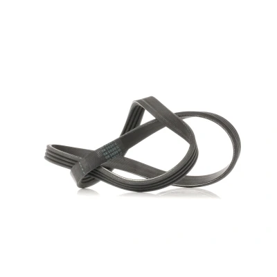 Abbildung von DAYCO 4PK841 Keilrippenriemen 841,0 4 AUDI: A6 C5 Avant, A4 B6 Limousine, BMW: 3 Compact, Touring