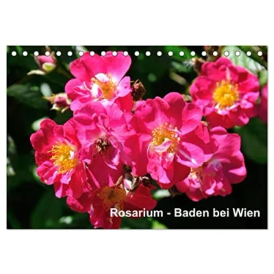 Abbildung von Baden bei Wien Rosarium (Tischkalender 2025 DIN A5 quer), CALVENDO Monatskalender
