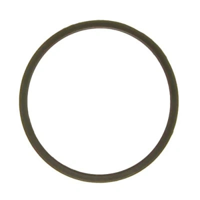 Abbildung von AJUSA 00813100 Dichtung, Thermostat TOYOTA: Land Cruiser Prado 70 SUV