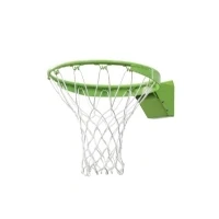 Abbildung von EXIT Basketball Dunkring mit Netz grün
