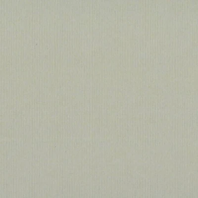 Abbildung von Clairefontaine 93516C Packung (mit 25 Blätter, 130 g, Ingres Pastell Papier, gekörnt, 50 x 65 cm, ideal für Trockentechnik) stahlgrau