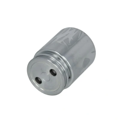 Abbildung von AUTOFREN SEINSA D025251 Kolben, Bremssattel 38 Hinterachse Ate OPEL: Signum CC, Vectra B Limousine, C FORD: KUGA 2, Focus 2 Kombi