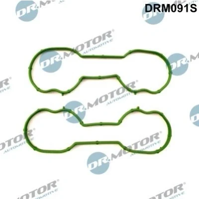 Abbildung von DR.MOTOR AUTOMOTIVE DRM091S Dichtungssatz, Ansaugkrümmer FORD: Focus Mk1 Limousine, 2 Schrägheck, Kombi