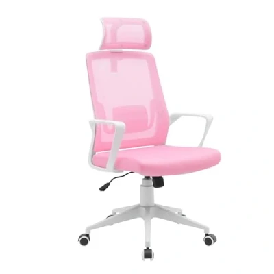 Abbildung von Mars Gaming MGC ERGOLITE, Ergonomischer Stuhl, Atmungsaktive Mesh Rückenlehne, Verstellbare Kopfstütze und Lendenwirbelstütze, Gepolsterte Sitzfläche, Gasdruckfeder Klasse 3, Stahl, Rosa