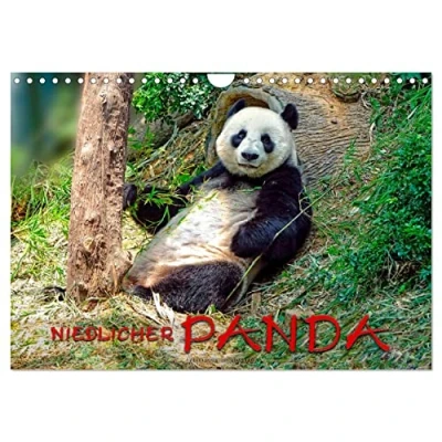 Abbildung von Niedlicher Panda (Wandkalender 2025 DIN A4 quer), CALVENDO Monatskalender