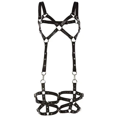 Abbildung von Harness aus Leder mit abnehmbaren Beinfesseln