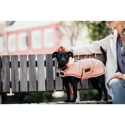 Abbildung von Kentucky Hundejacke Wasserdicht 160g Koral 42cm