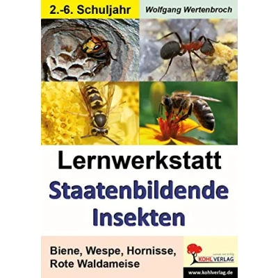 Abbildung von Lernwerkstatt Staatenbildende Insekten: Biene, Wespe, Hornisse, Rote Waldameise: Bienen, Wespen und Ameisen