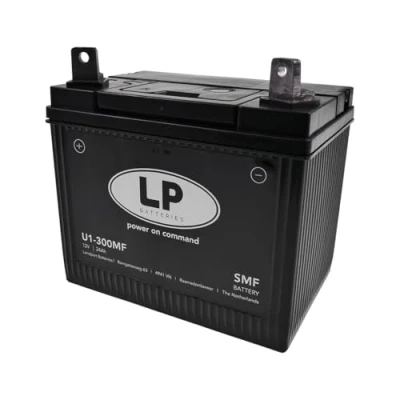 Abbildung von Akkuman.de Batterie 12V 24Ah für Rasenmäher Rasentraktor LB U1 300MF Bleiakkus