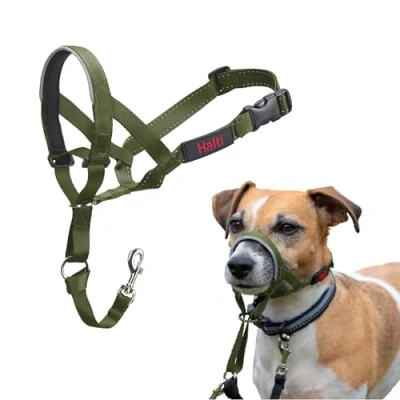 Abbildung von HALTI Kopfgeschirr Verhindert, dass Ihr Hund an der Leine zieht, Einfache Anpassung, Leicht, mit gepolstertem Nasenriemen, Anti Zug Halsband für kleine Hunde (Größe 1, Waldgrün)