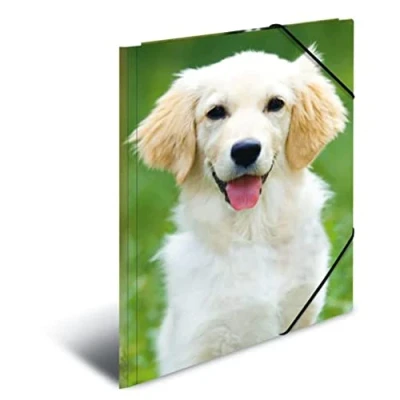 Abbildung von HERMA 7144 Sammelmappe A3 Tiere Hunde, Kinder Eckspanner Mappe aus Kunststoff mit Innendruck &amp; Gummizug, stabile Einschlagmappe Plastik für Jungen Mädchen