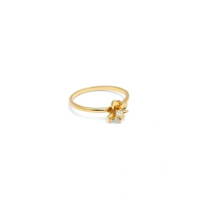 Abbildung von SINGULARU Ring Gardenia. Messing mit 18K vergoldung und Zirkonia. Schmuck für Damen. Ringgröße 56.