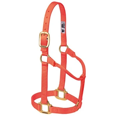 Abbildung von Weaver Leather Original Pferdehalfter, Nicht verstellbar, Nylon, groß, Blaze Orange