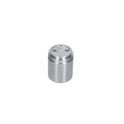 Abbildung von AUTOFREN SEINSA D025558 Kolben, Bremssattel 40 Hinterachse ATE OPEL: Signum CC, Vectra C Caravan, CC