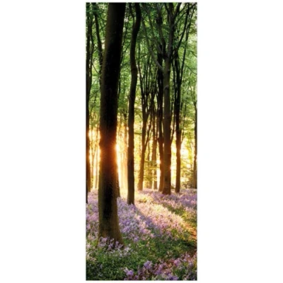 Abbildung von Wallario Glasbild Blaue Hasenglöckchen im Wald mit Sonnenstrahlen 32 x 80 cm Wandbilder Glas in Premium Qualität: Brillante Farben, freischwebende Optik
