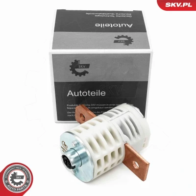 Abbildung von Sensor, Batteriemanagement ESEN SKV 96SKV331