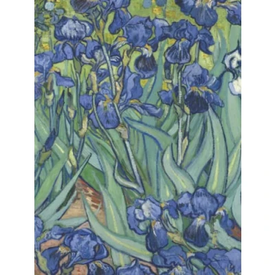 Abbildung von DMP Notizbuch DIN A4 kariert: Schwertlilien [Irises van Gogh] Hardcover