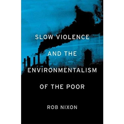 Abbildung von Slow Violence and the Environmentalism of Poor