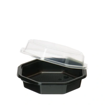 Abbildung von Octaview Box 160/60