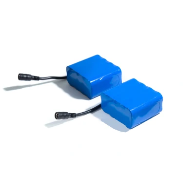 Abbildung von Navicarp Raider Futterboot Batterie (10400mA) (2 St)