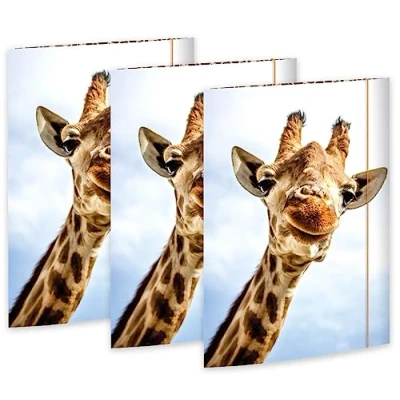 Abbildung von RNK 45359 3 Zeichenmappe Safari 310 x 440 mm, Stück, DIN A3, mit Gummizugverschluss