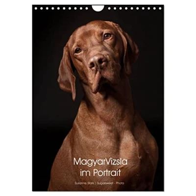 Abbildung von Magyar Vizsla im Portrait (Wandkalender 2025 DIN A4 hoch), CALVENDO Monatskalender