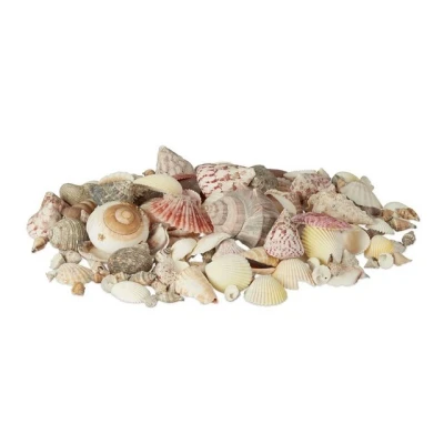 Abbildung von relaxdays Dekoobjekt Muschel Set mit Meeresschnecken 1kg