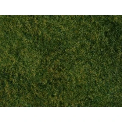 Abbildung von NOCH Wildgras Foliage, Grün