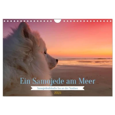 Abbildung von Ein Samojede am Meer (Wandkalender 2025 DIN A4 quer), CALVENDO Monatskalender
