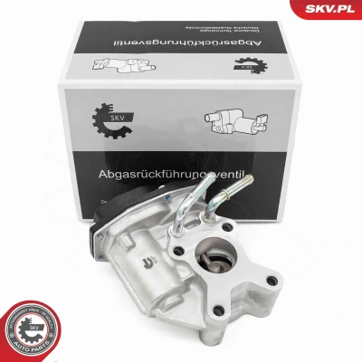 Abbildung von ESEN SKV 14SKV265 AGR Ventil NISSAN: Pathfinder 3, NP300 Navara Pritsche / Fahrgestell, Pickup