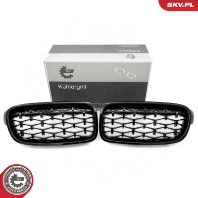 Abbildung von ESEN SKV 66SKV128 Kühlergrill schwarz, glänzend BMW: 3 Limousine, Touring