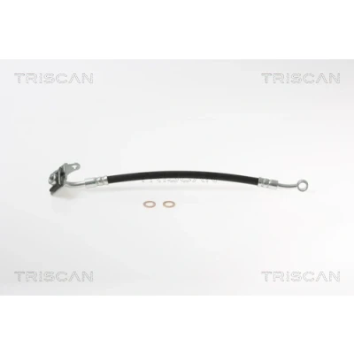 Abbildung von TRISCAN 8150 18117 Bremsschläuche 259 F10x1 KIA: CARNIVAL / GRAND 3