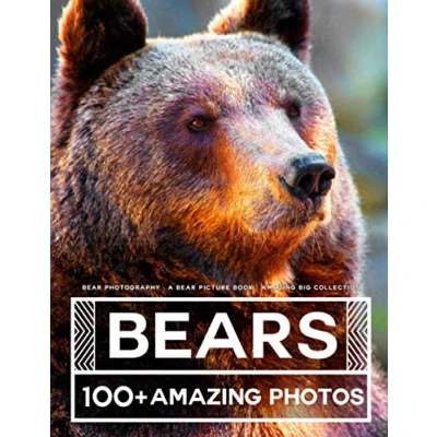 Abbildung von Bear Photography A Picture book Amazing Big Collection: 100+ Pictures of Bears in this Beautiful photo
