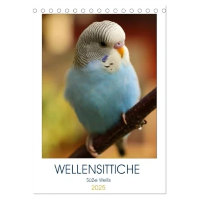 Abbildung von WELLENSITTICHE Süße Wellis (Tischkalender 2025 DIN A5 hoch), CALVENDO Monatskalender