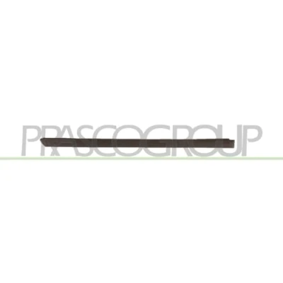 Abbildung von Zier /Schutzleiste, Tür PRASCO VG0201453