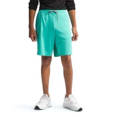 Abbildung von THE NORTH FACE Never Stop Shorts Geyser Aqua 176
