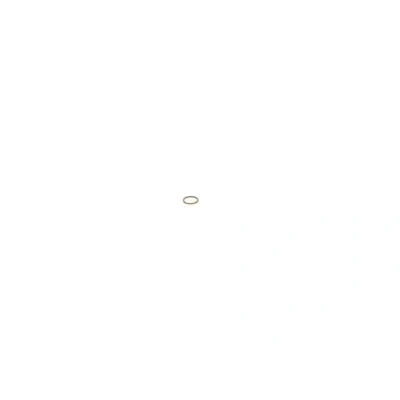Abbildung von BOSCH 1 410 227 001 Dichtring