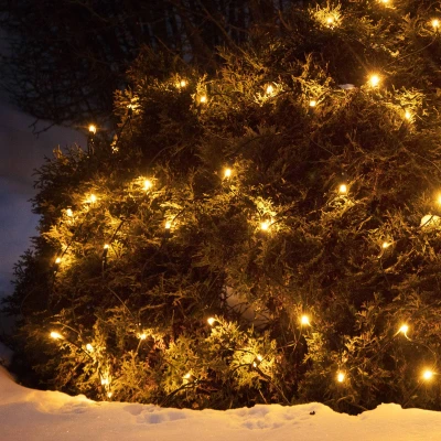Abbildung von Lichternetz Chrissline Extra 100 LEDs 2.300K