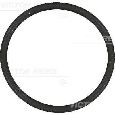 Abbildung von REINZ 40 76854 00 Ansaugkrümmerdichtung FPM (Fluor Kautschuk) VOLKSWAGEN: Golf 4 Schrägheck, 5 Polo IV Schrägheck